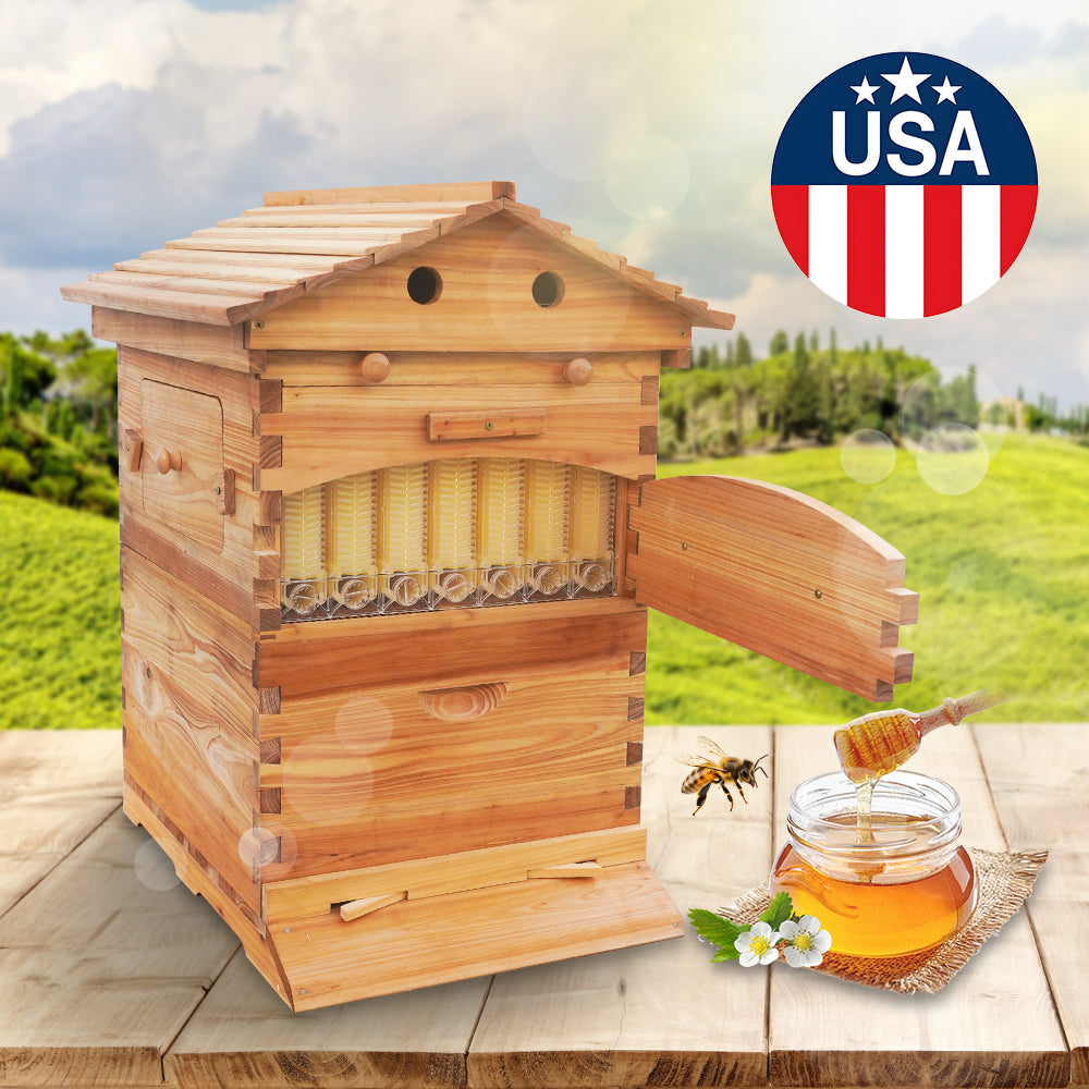 7Frame Flow Hive kit