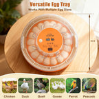 Incubator for hen eggs with Temperature and Humidity Control, Automatic Egg Turning, Egg Candler,  Adjustable Air Vent, 360° Clear View, for Chicken, Duck & Quail Eggs
