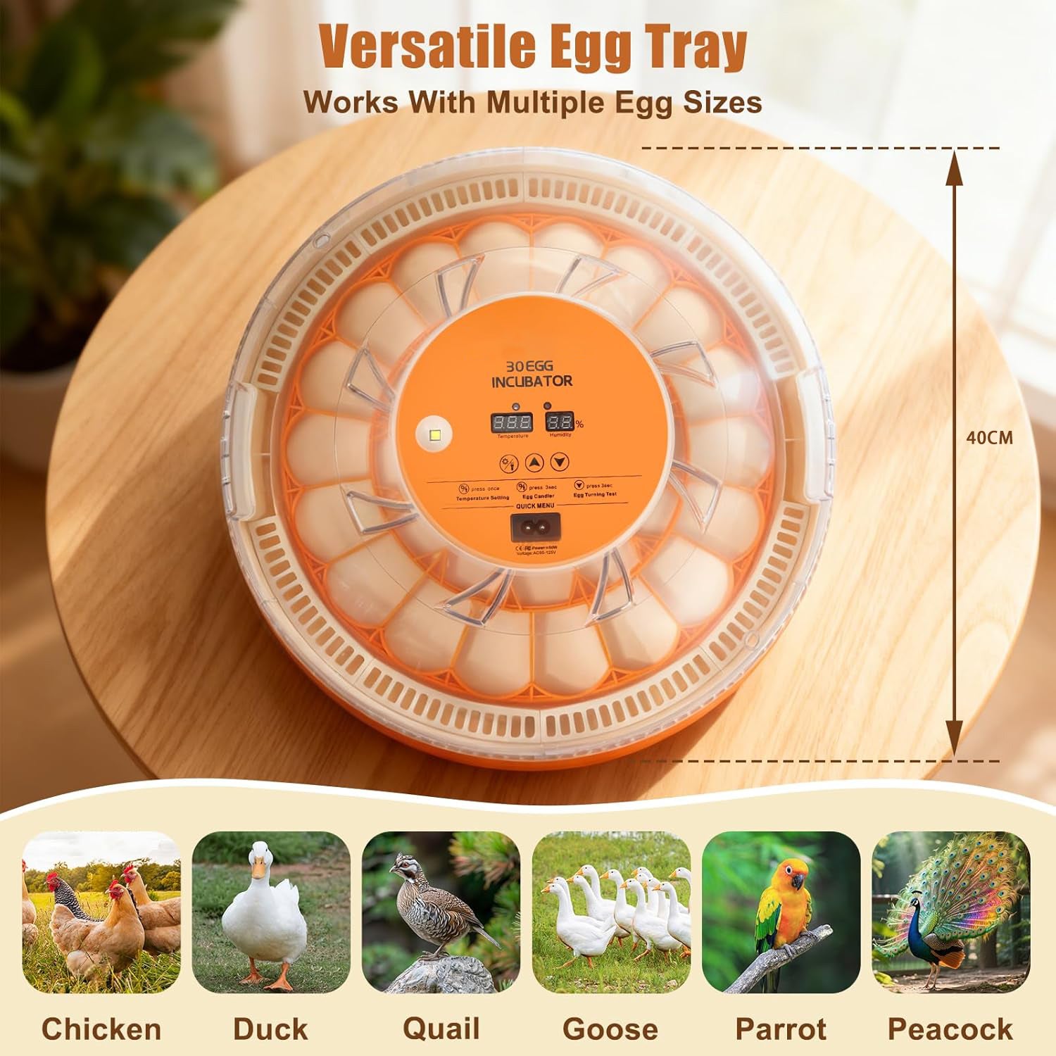 Incubator for hen eggs with Temperature and Humidity Control, Automatic Egg Turning, Egg Candler,  Adjustable Air Vent, 360° Clear View, for Chicken, Duck & Quail Eggs
