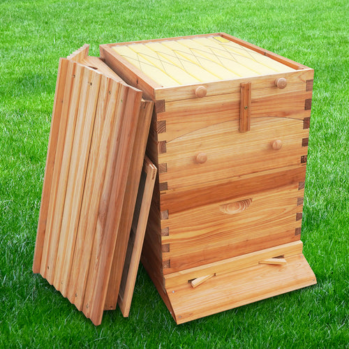 7Frame Flow Hive kit