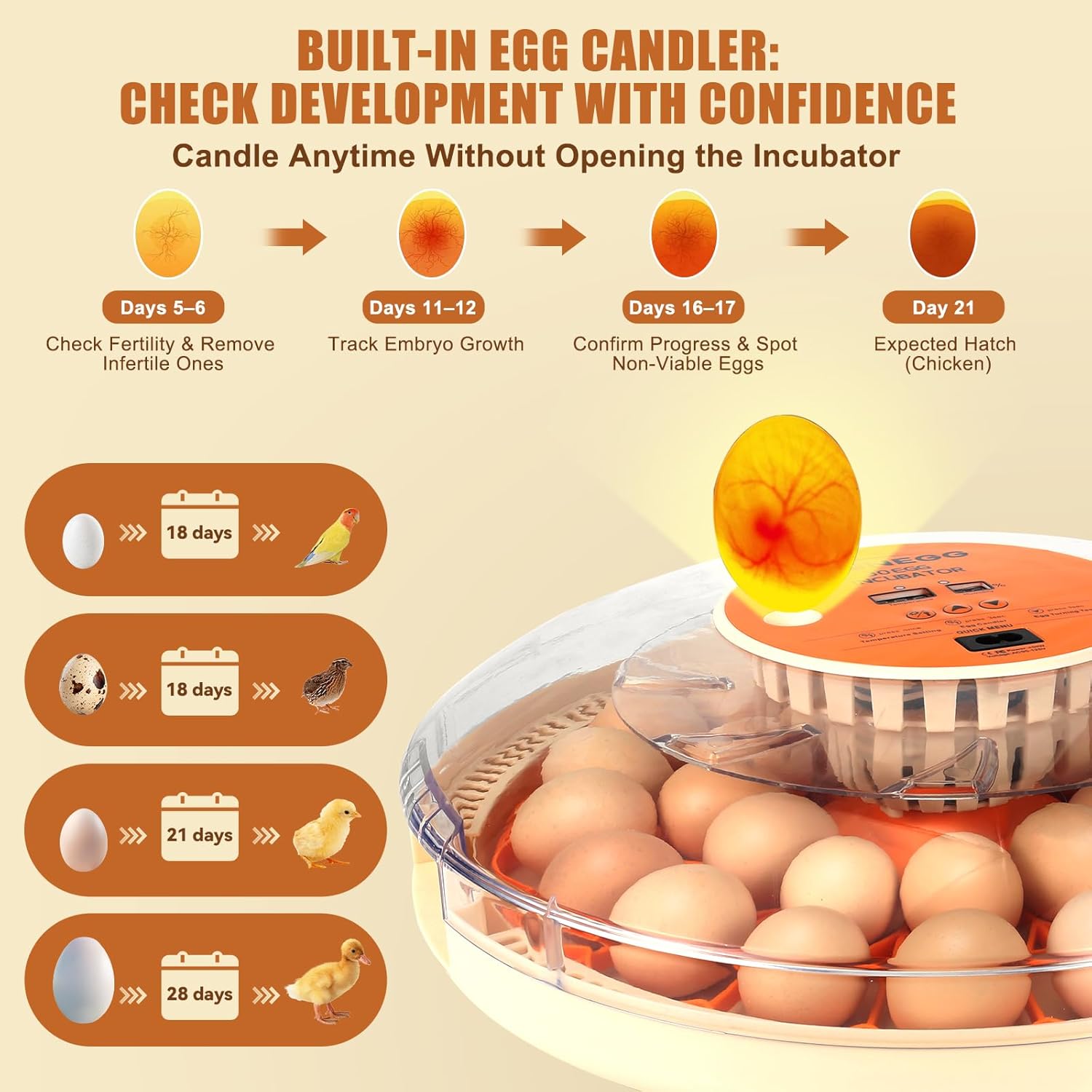 Incubator for hen eggs with Temperature and Humidity Control, Automatic Egg Turning, Egg Candler,  Adjustable Air Vent, 360° Clear View, for Chicken, Duck & Quail Eggs