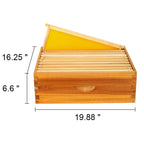 10 Frame Langstroth Deep Brood Bee Hive Box Dipped in Beeswax, Sections of Wood for Beehives, Includes Beehive Frames and Waxed Foundations (Unassembled)