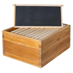 10 Frame Langstroth Deep Brood Bee Hive Box Dipped in Beeswax, Sections of Wood for Beehives, Includes Beehive Frames and Waxed Foundations (Unassembled)