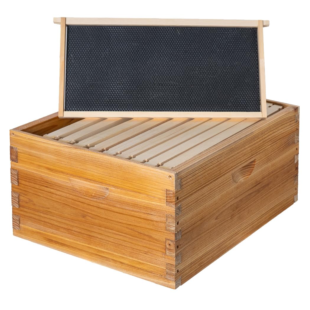 10 Frame Langstroth Deep Brood Bee Hive Box Dipped in Beeswax, Sections of Wood for Beehives, Includes Beehive Frames and Waxed Foundations (Unassembled)