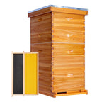 10 Frame Langstroth Deep Brood Bee Hive Box Dipped in Beeswax, Sections of Wood for Beehives, Includes Beehive Frames and Waxed Foundations (Unassembled)