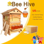 Flow Hive With 7 Pcs Frames